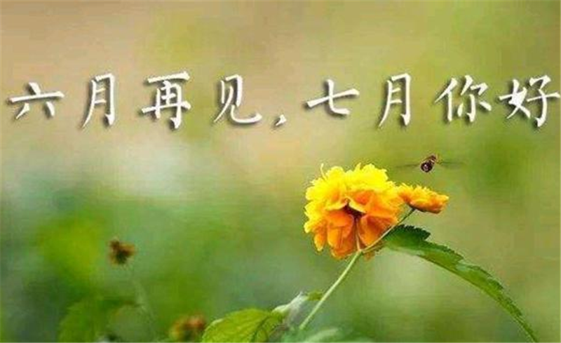 六月再見(jiàn)、7月你好